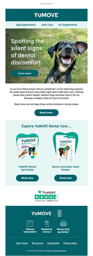How to tell if your dog’s teeth may need attention