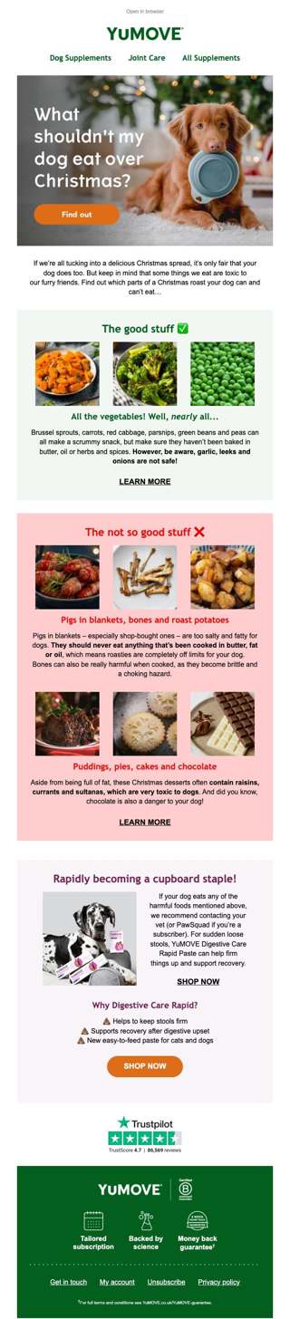 Christmas Dinner for your dog 🍽️🐶