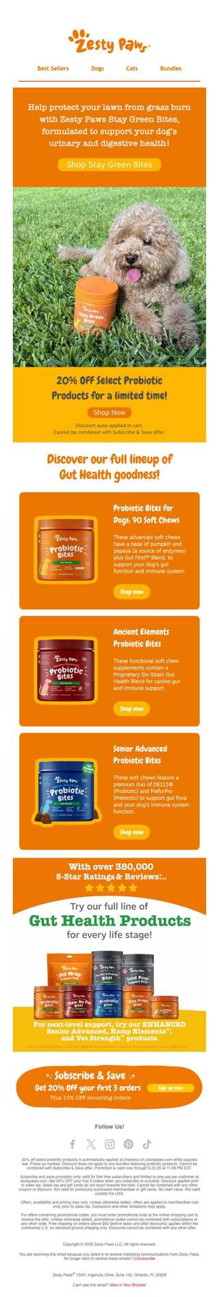 💚 Ends soon! SAVE 20% on Stay Green Bites & other gut health favorites 🌱
