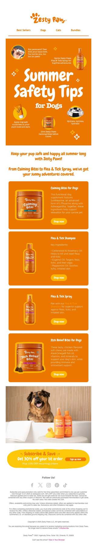 ☀️ Summer essentials (and smart tips) for your pup! 🧡