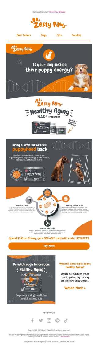 Is your Dog missing their puppy energy?