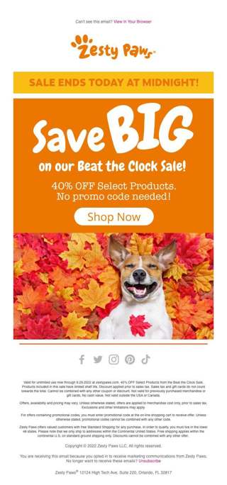 🐶😻 40% OFF BEAT THE CLOCK⏰🤩
