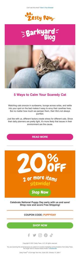 📰 [Blog] 5 Ways to Calm Your Scaredy Cat