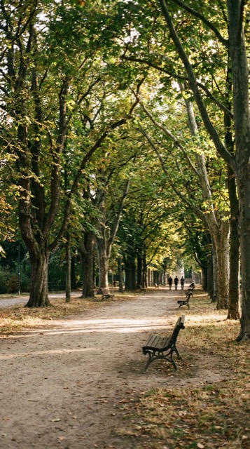 park_borisova